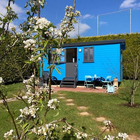 Atlantic Way Shepherd Hut Moville Bagian luar foto