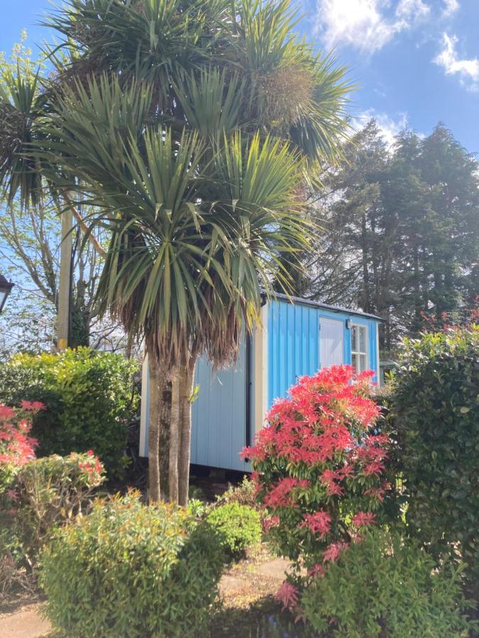 Atlantic Way Shepherd Hut Moville Bagian luar foto